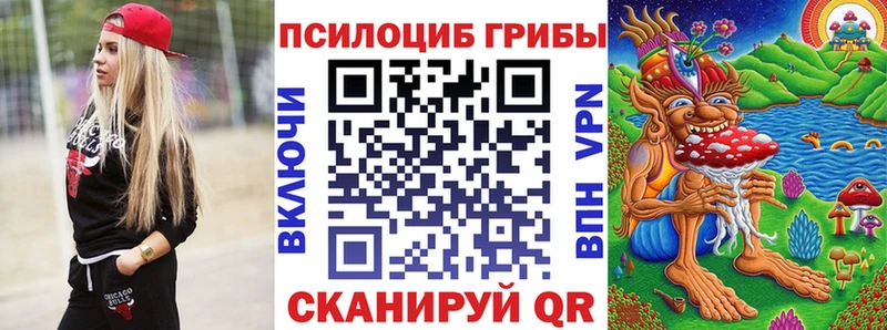 Купить закладки  Венёв  Псилоцибиновые грибы MAGIC MUSHROOMS 